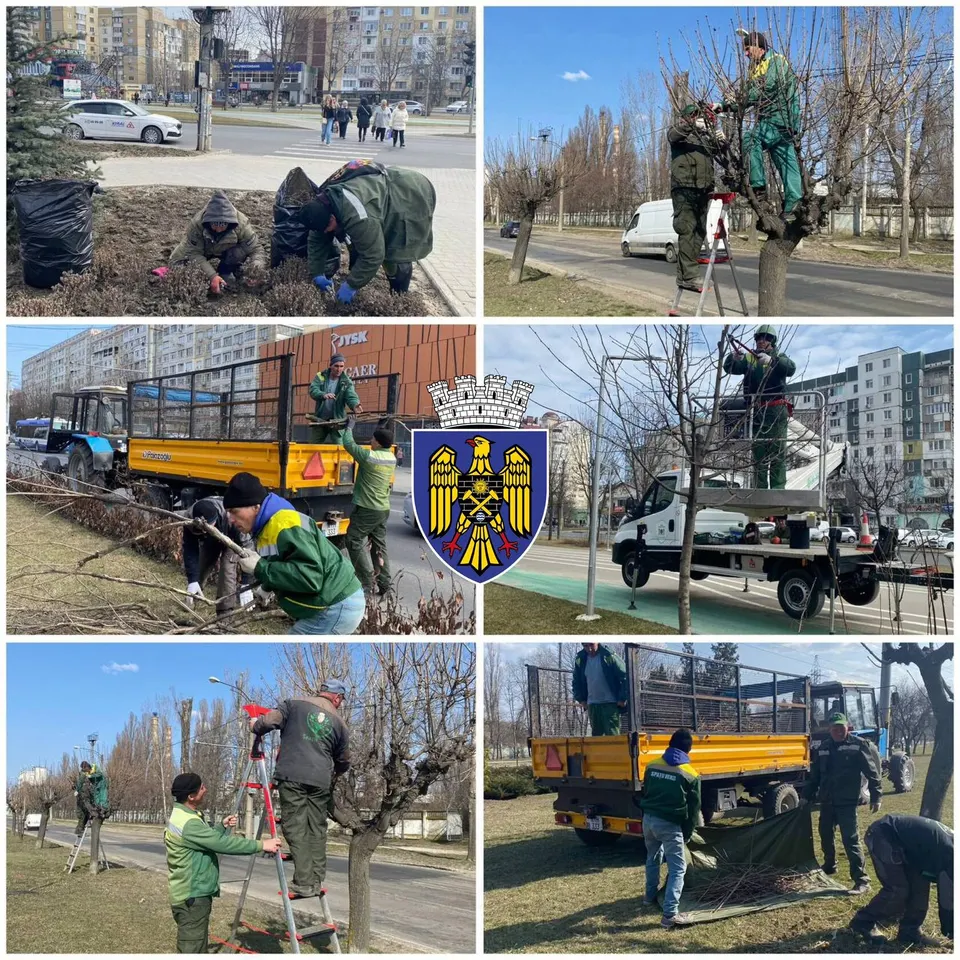 🌿 Ciocana prinde rădăcini de primăvară