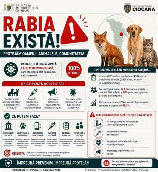 🛑 Rabia – un pericol real pentru comunitate
