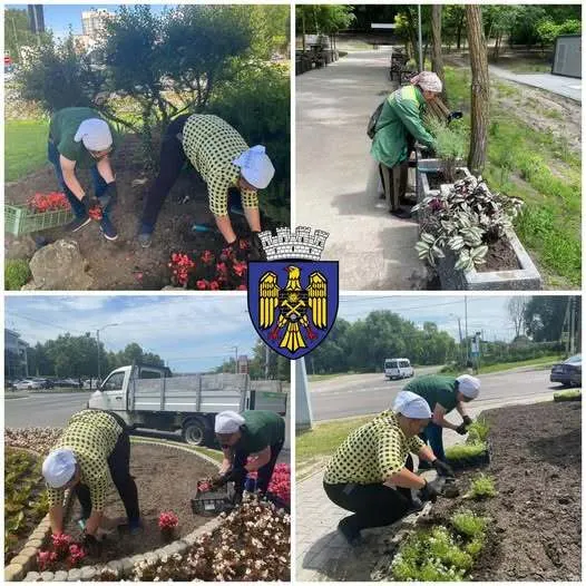 🌸🌿 Tot mai multă culoare în sectorul Ciocana!