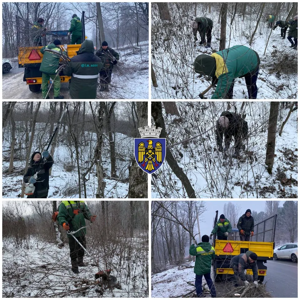 🌲 Lucrări în continuare.